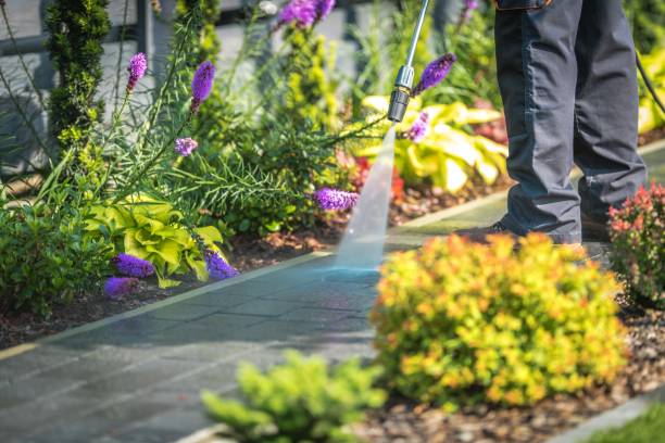  Hewitt, NJ Pressure Washing Pros